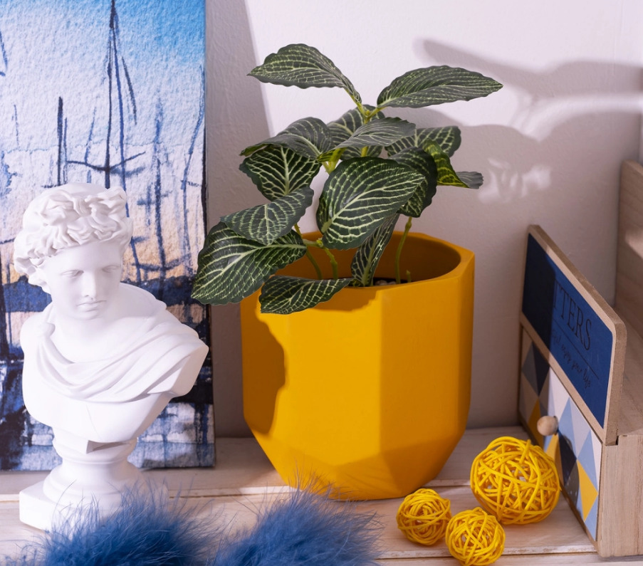 Стильное кашпо для комнатного растения - как удачная оправа для драгоценного камня. Фото с сайта fix-price.ru
