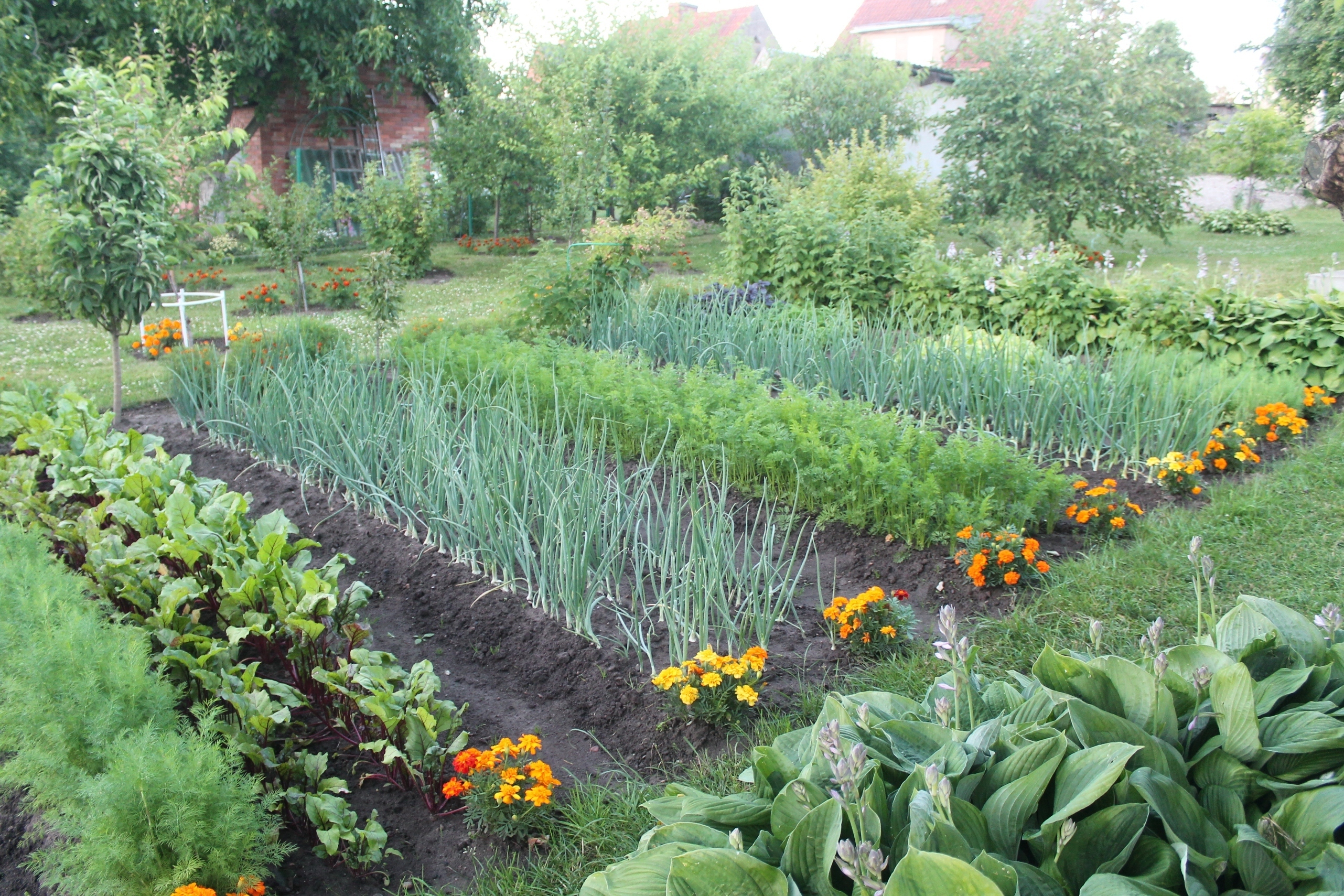 Автор Елена Столповская (ok_415907067157) Автор Елена Столповская (ok_415907067157)