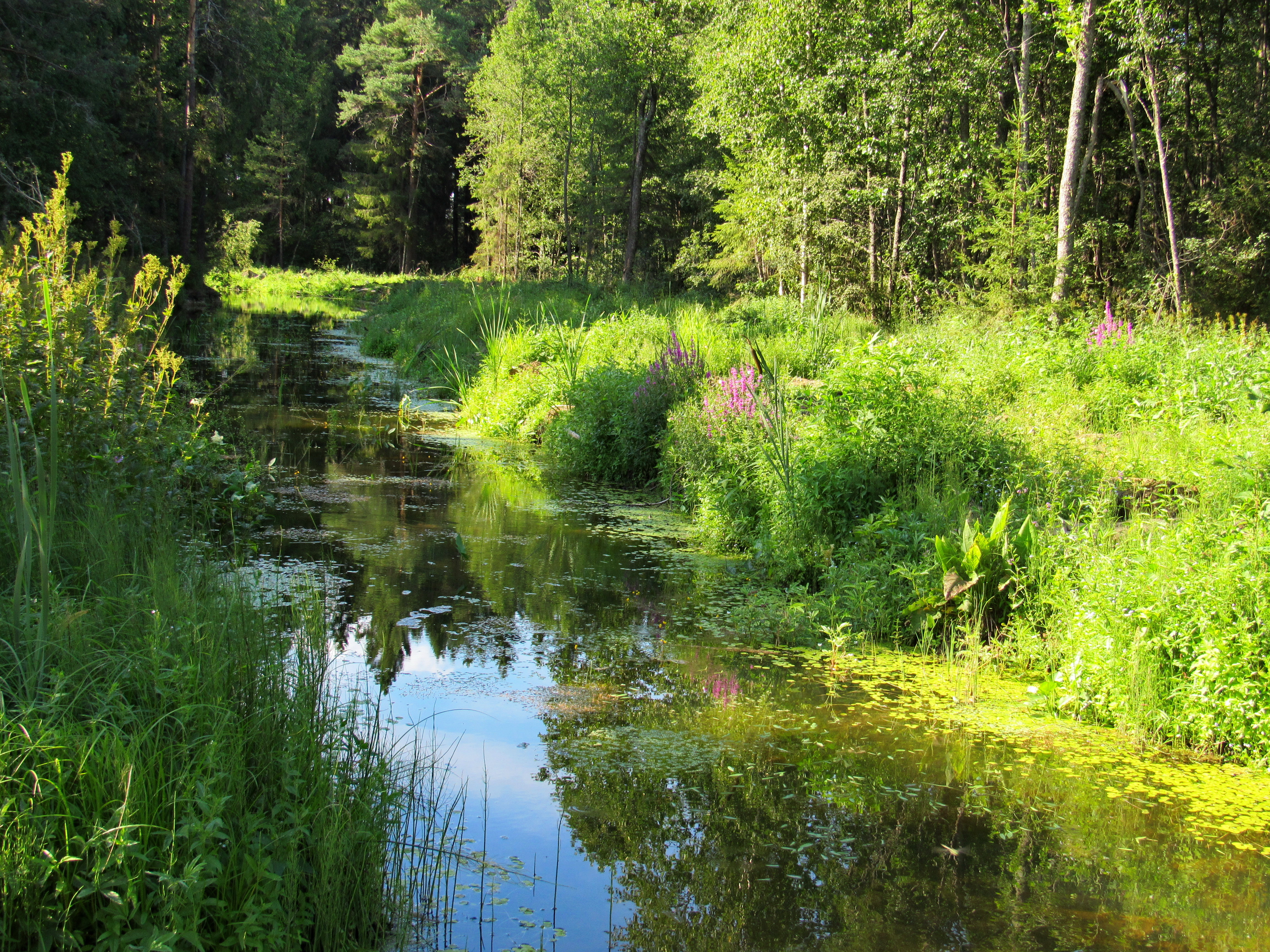 Автор фото Светлана (SvetlanaDo) Автор фото Светлана (SvetlanaDo)
