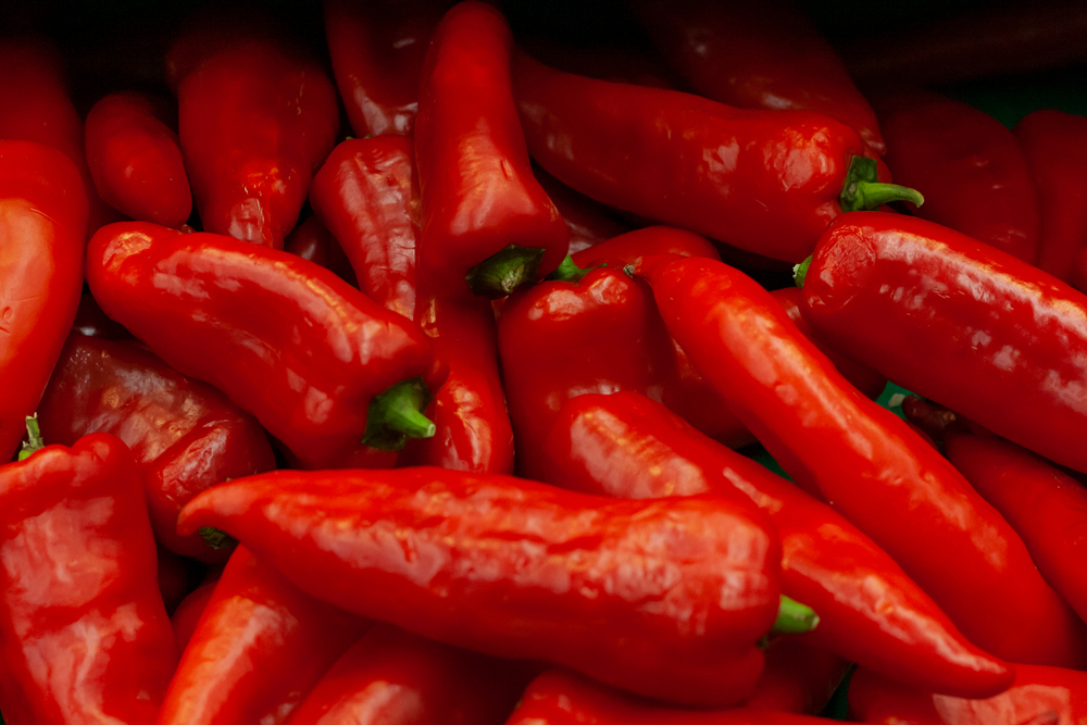 Перец 'Рамиро' не только вкусный, но и устойчивый к заболеваниям