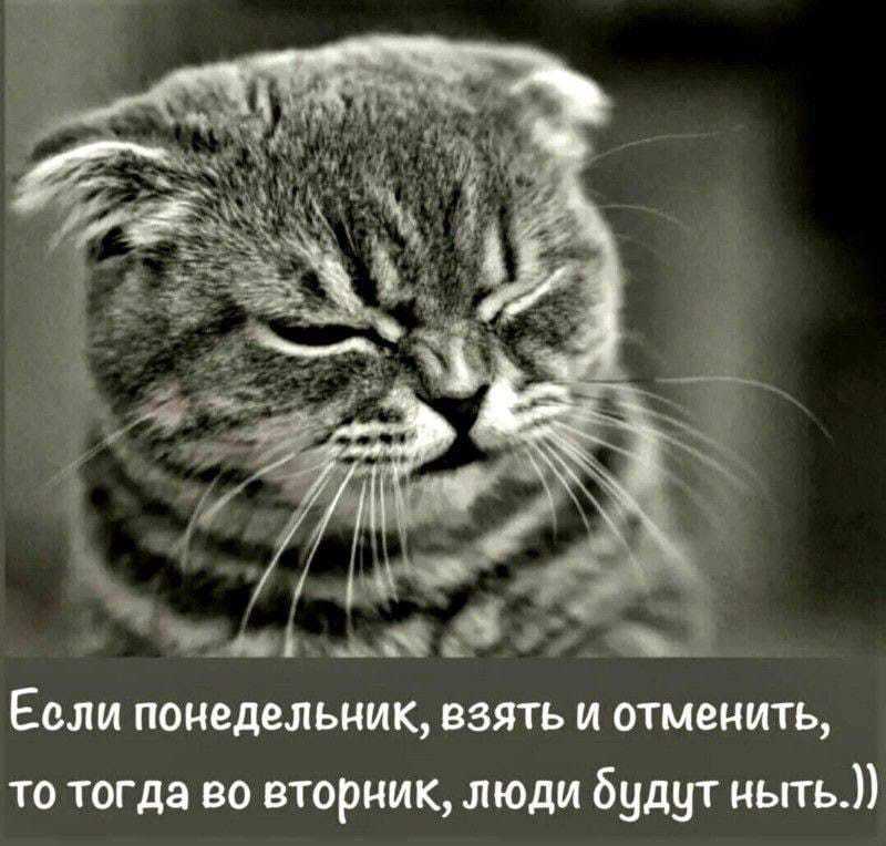 Понедельник...
