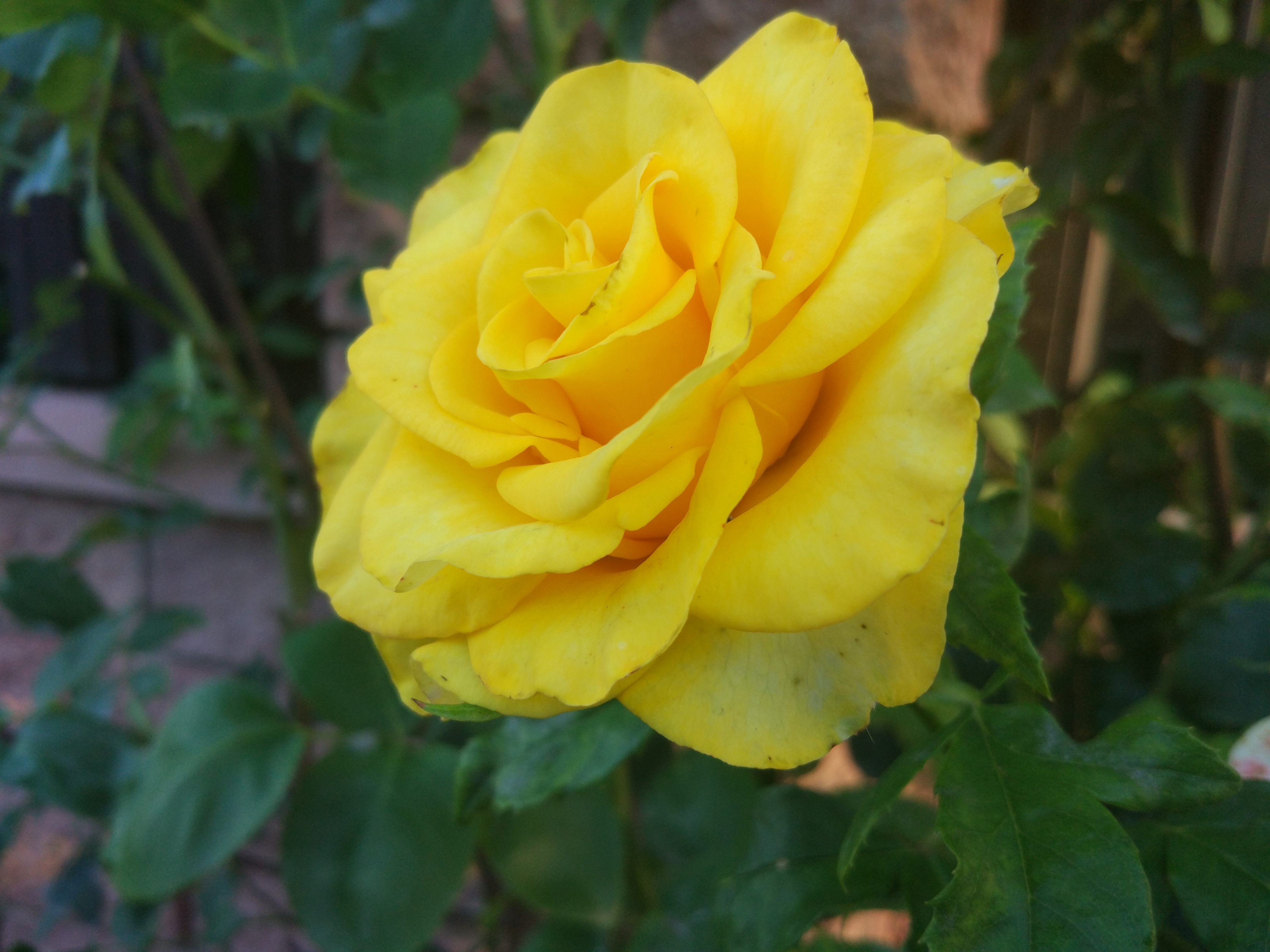 Поздравляю!