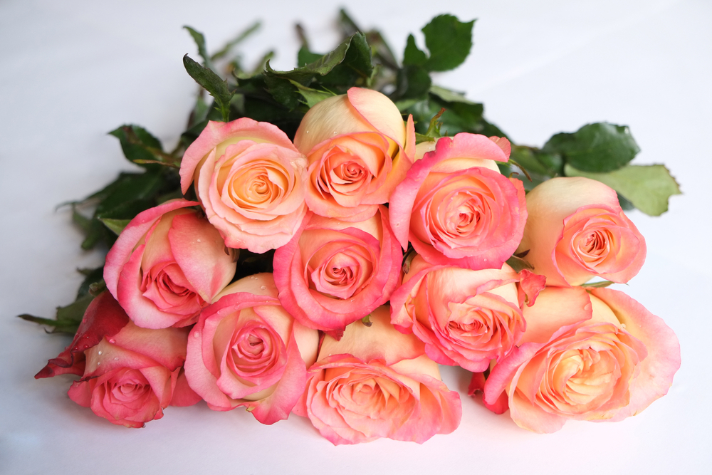 С днём рождения!