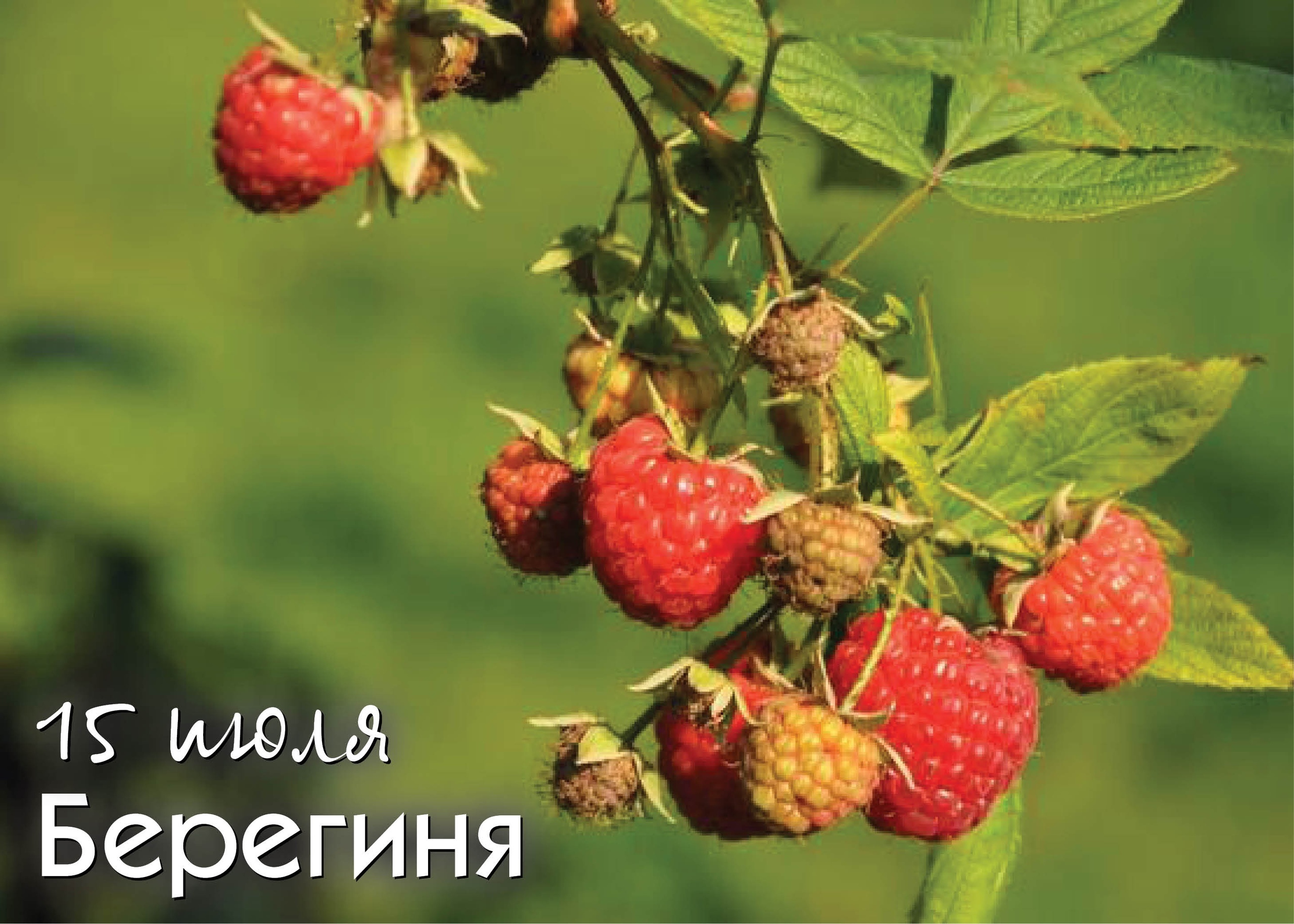 15 июля