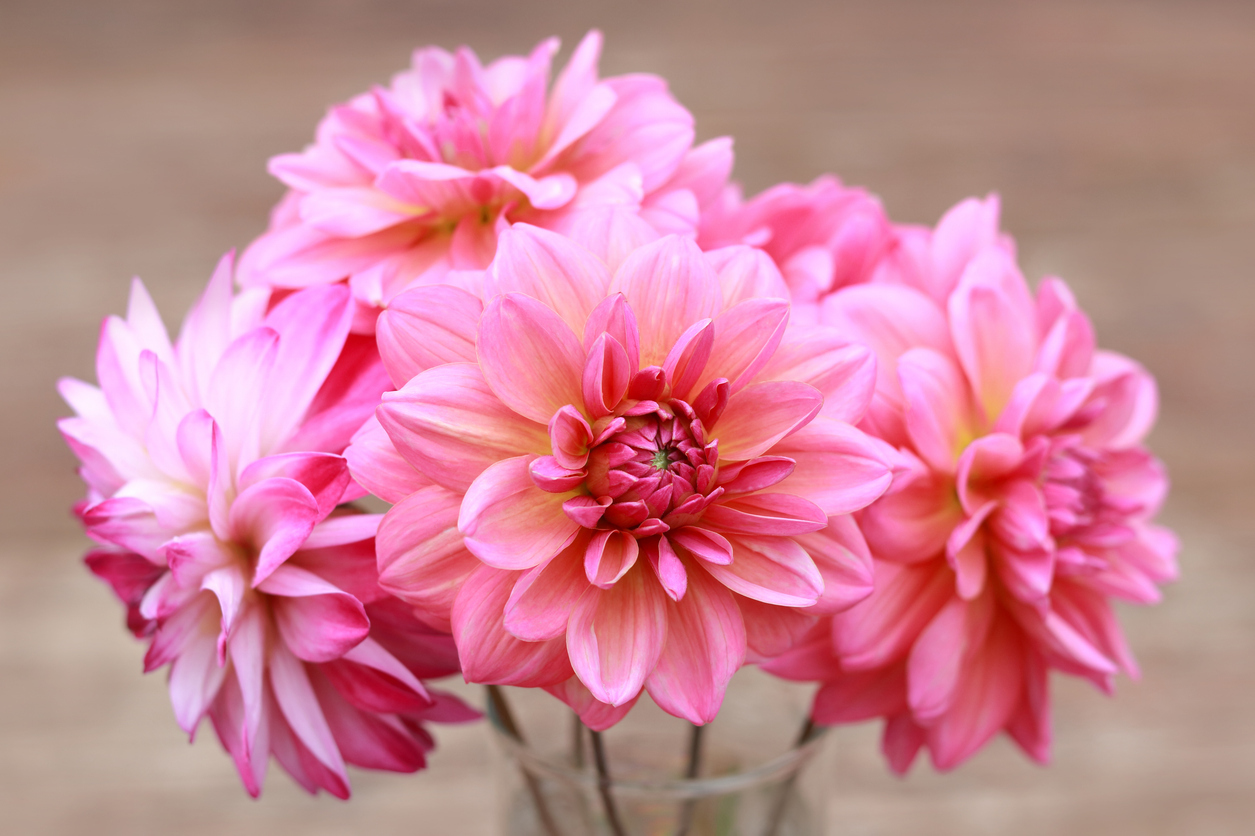 Поздравляю!