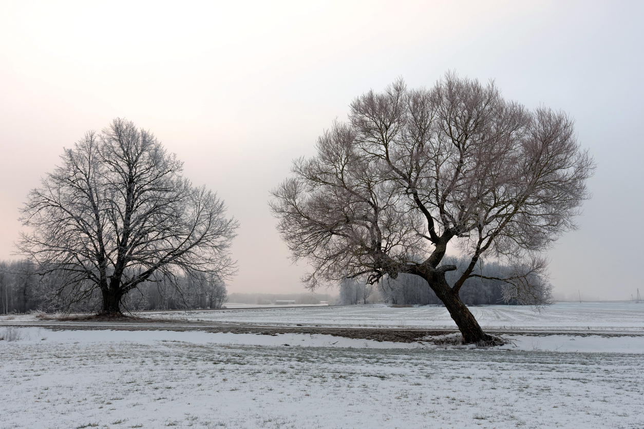 Зимние пейзажи