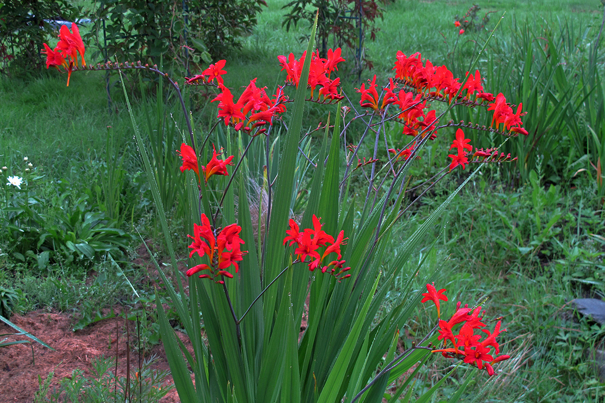 Группа Елены Скибицкой