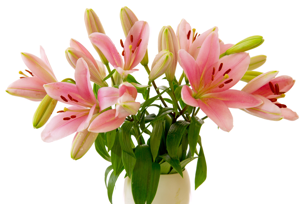 Поздравляю!