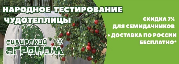 Чудо Теплица Сибирский Агроном Купить В Интернет