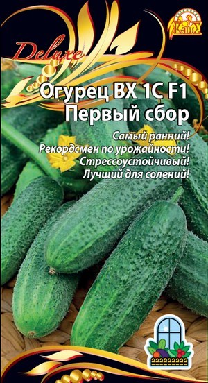 Огурец ВХ 1С Первый сбор F1