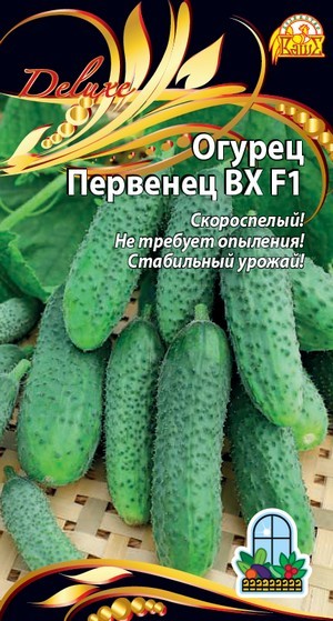 Огурец Первенец ВХ F1