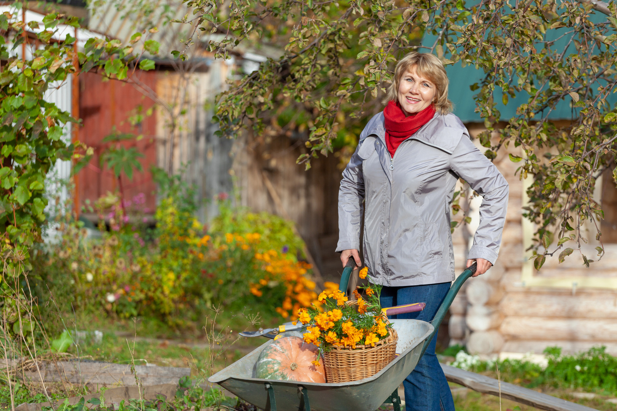 Секреты подготовки дачи к зимовке