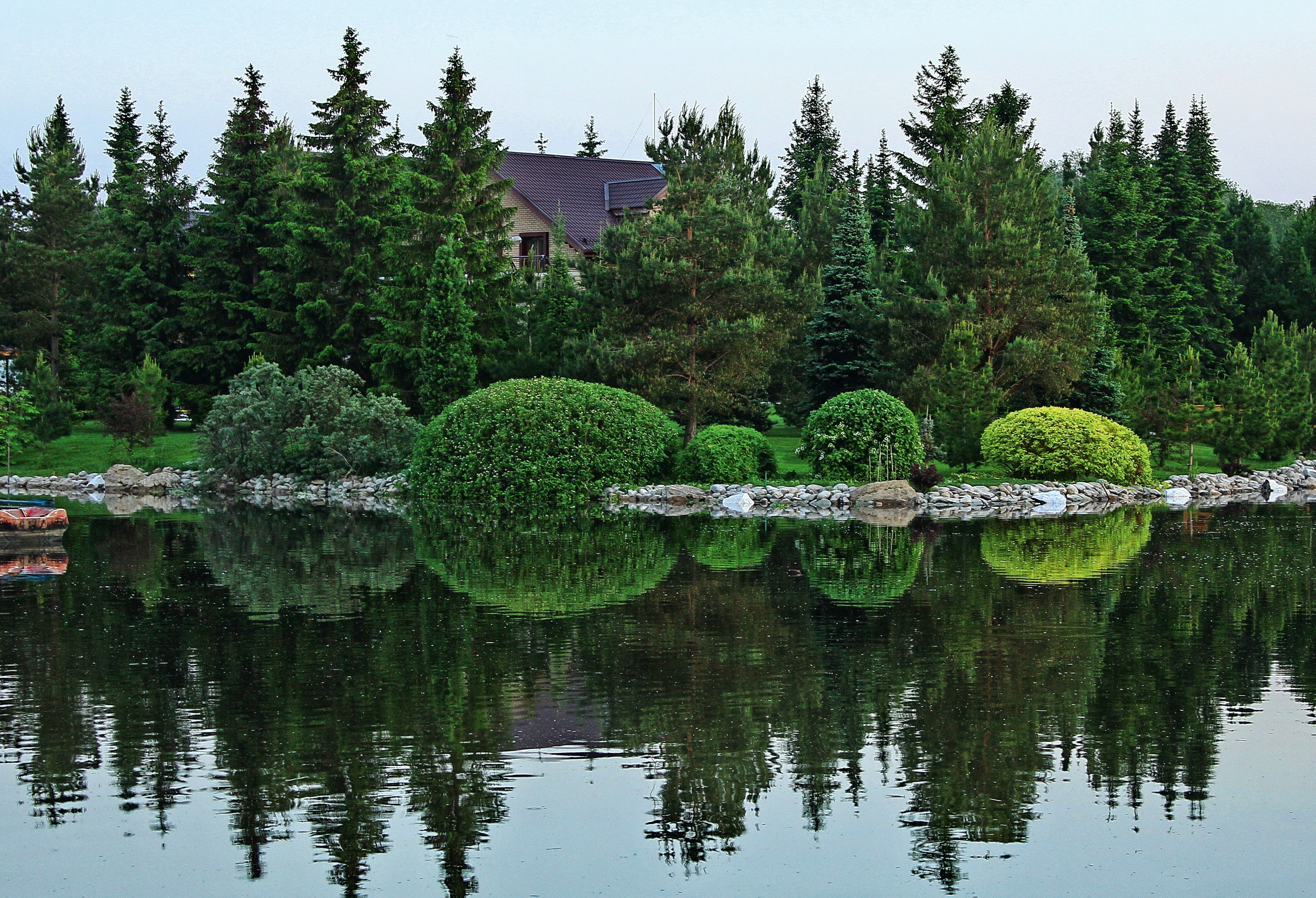 Деревья и кустарники — живые!