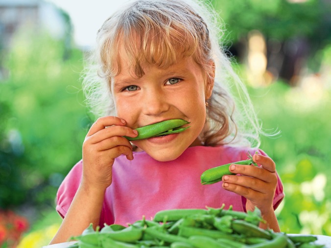 Вот и осталось этой бобовой культуре место исключительно на детской грядке