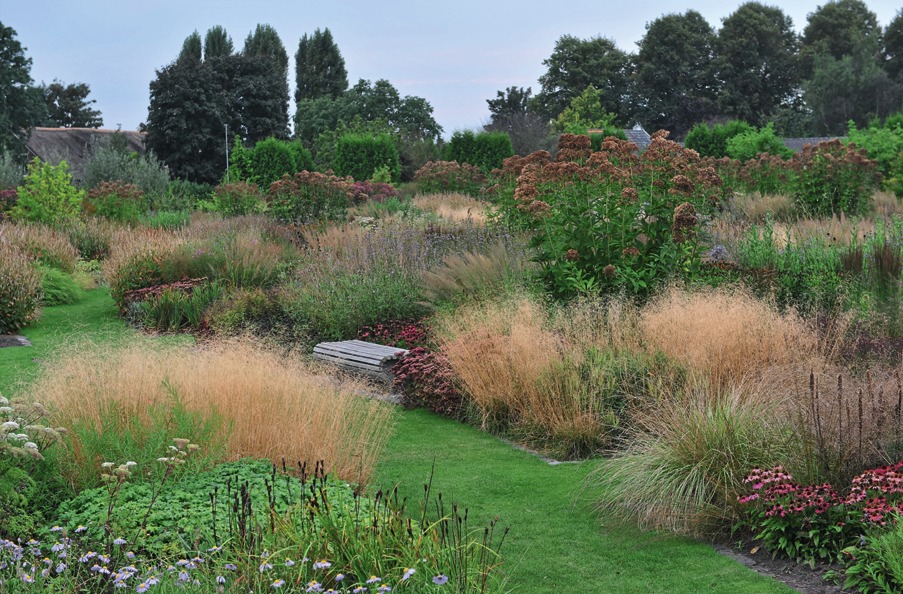 Злаки - это основа луговых цветников