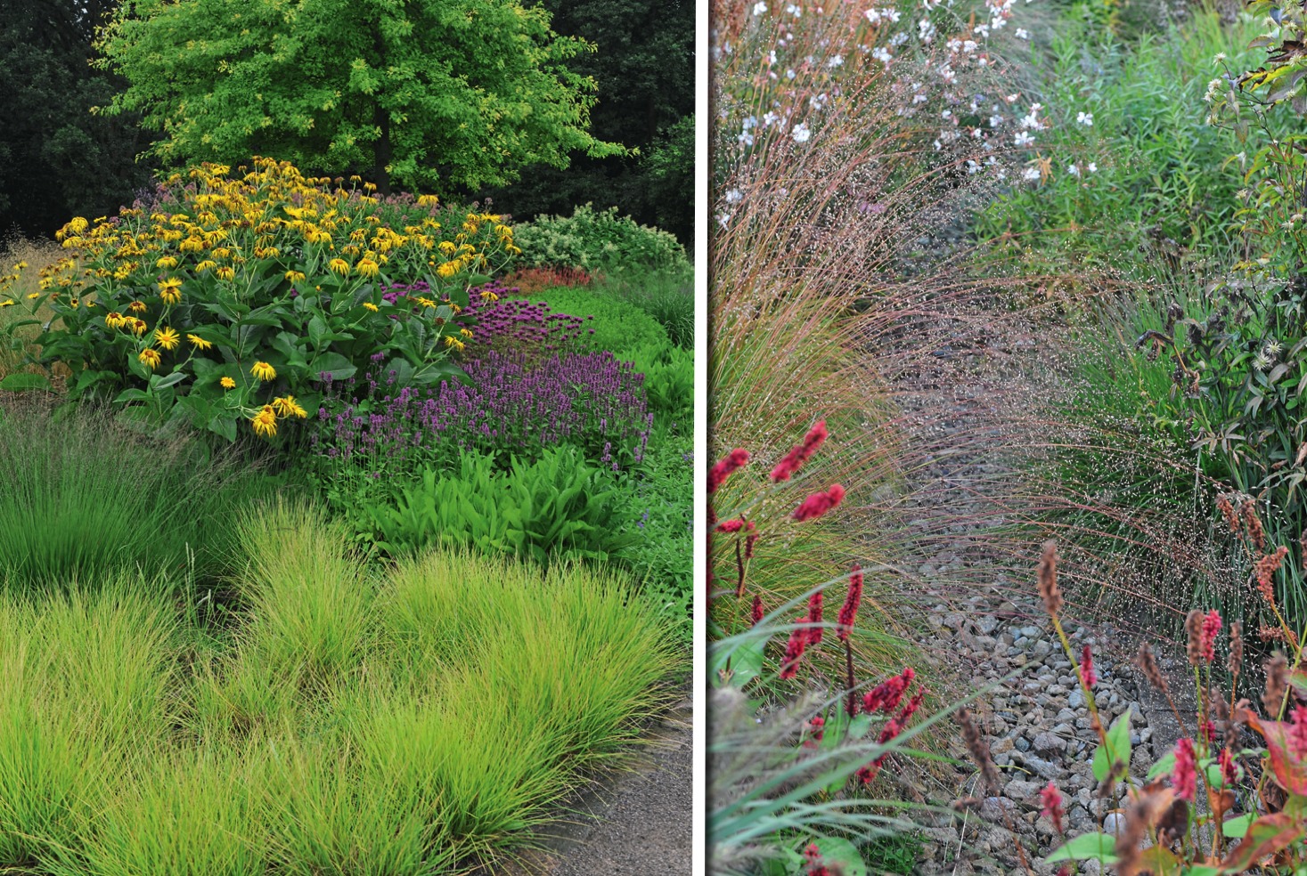 Слева: в качестве почвопокровных растений злаки создадут альтернативу газону. Справа: один из лучших вариантов сгладить острые углы - это посадить декоративные злаки