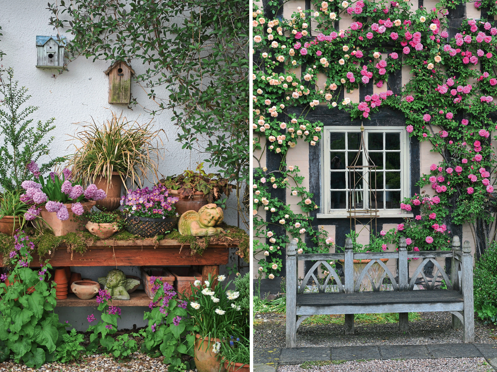 Слева: контейнерные композиции — важное сезонное украшение коттеджного сада.  Справа: красивоцветущие лианы помогают стереть грань между домом и садом