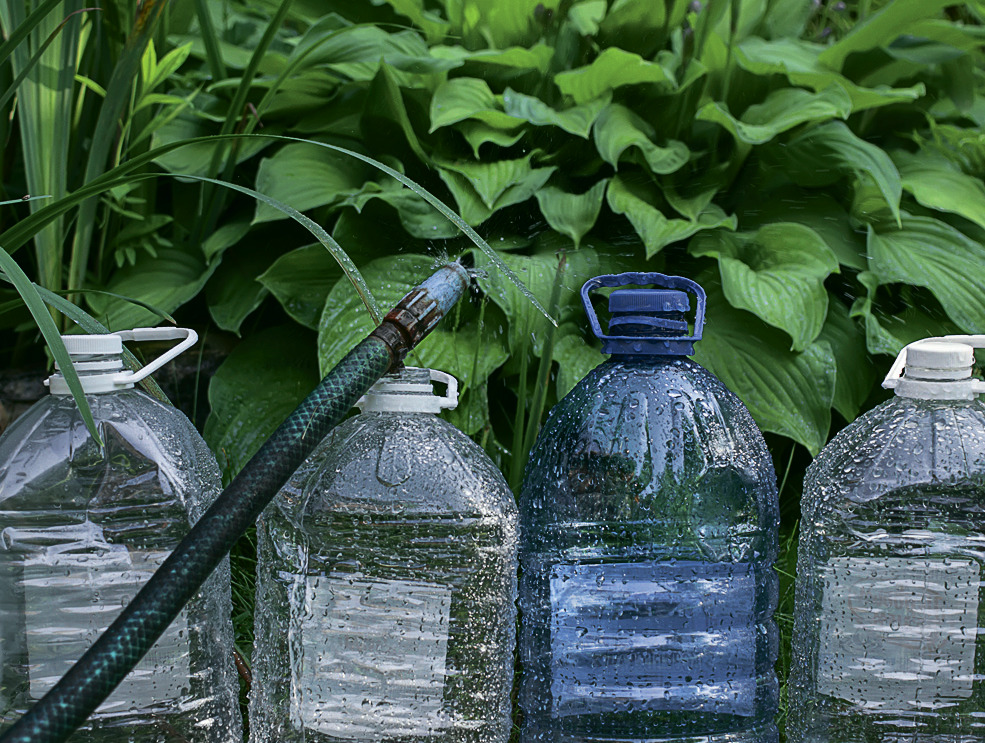 Пластиковые бутылки для сада. Фото Ирины Кудриной