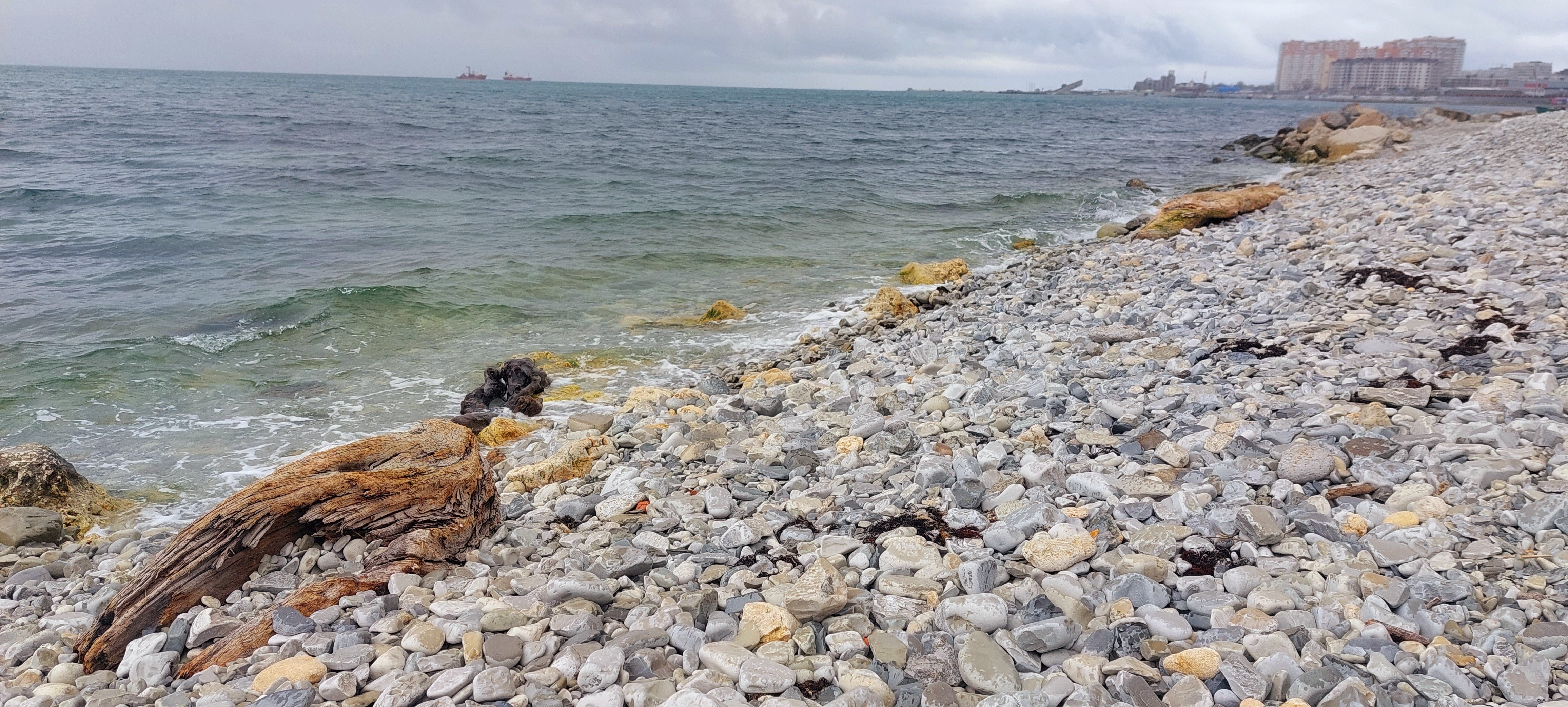 Море часто выкидывает кучу деревяшек...