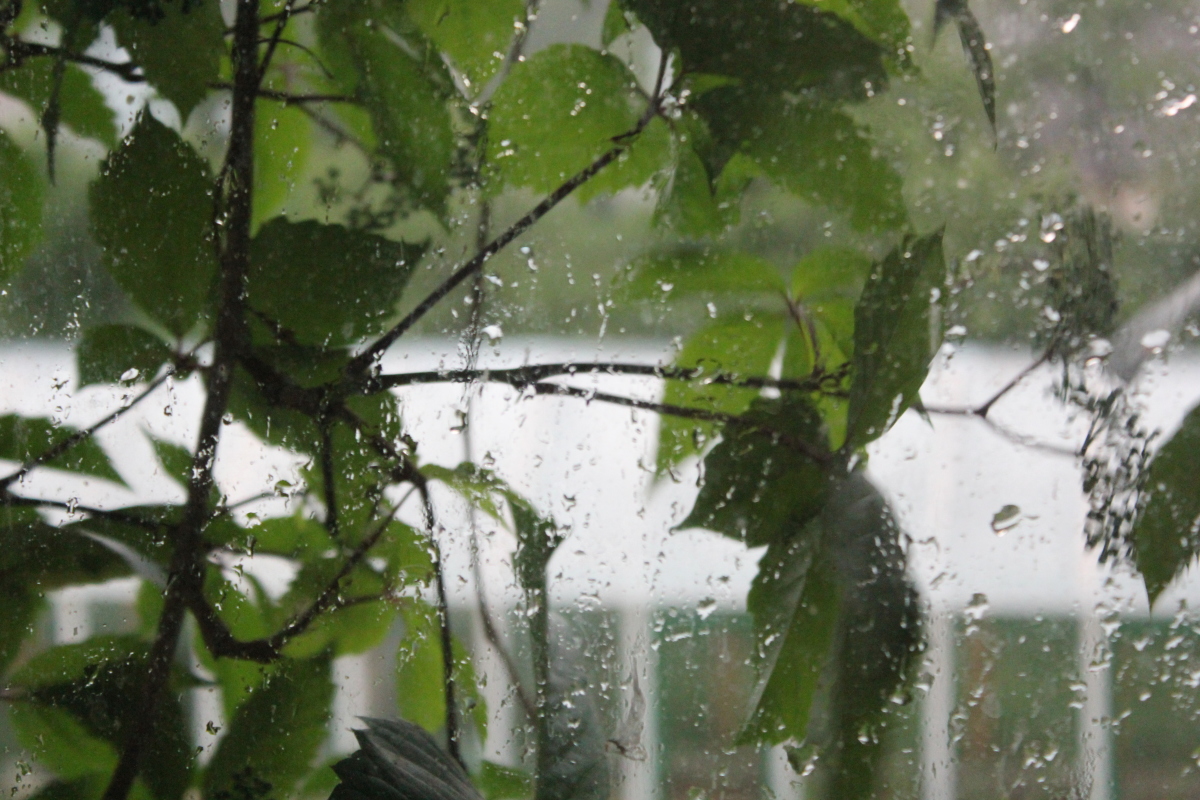 А за окном то дождь слушать. Frederic Chopin вальс дождя. Дождь весной. Весенний ливень.