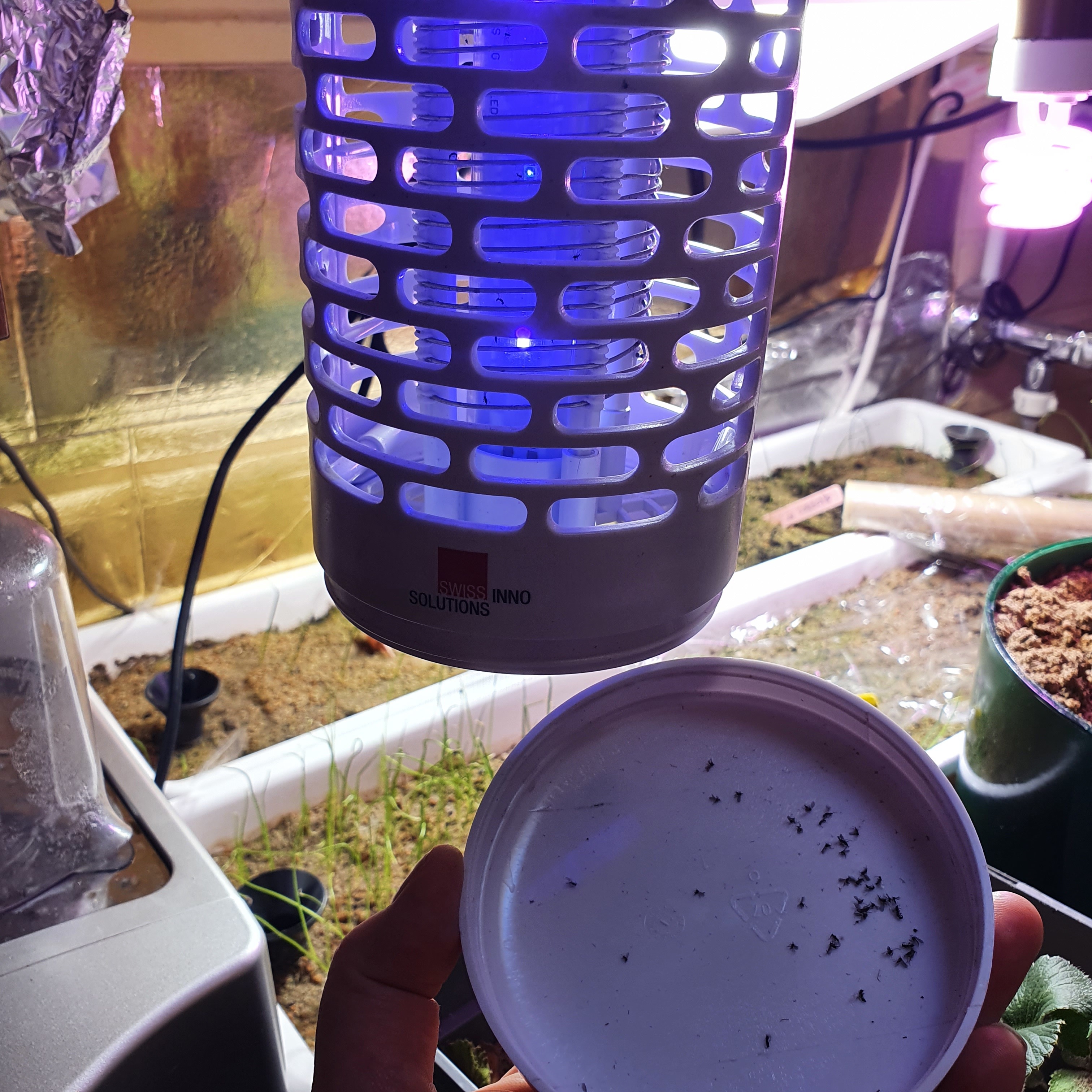 Все что дерзнуло вылететь за 2 месяца!