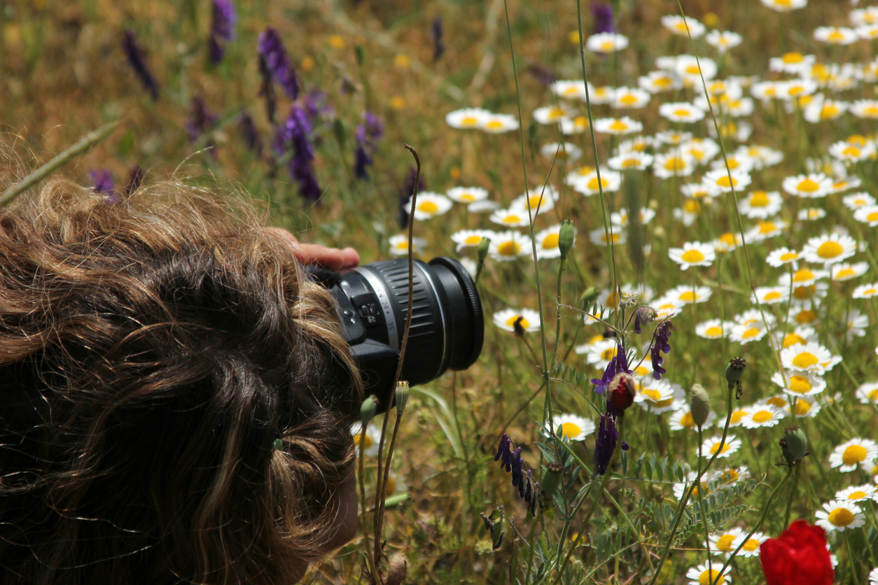 Для съемки портретов растений диапазон объектива камеры не так уж критичен