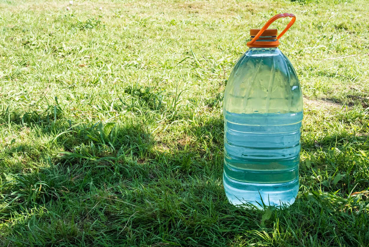 С помощью 5-литровых пластиковых бутылок можно экономить воду для полива взрослых деревьев