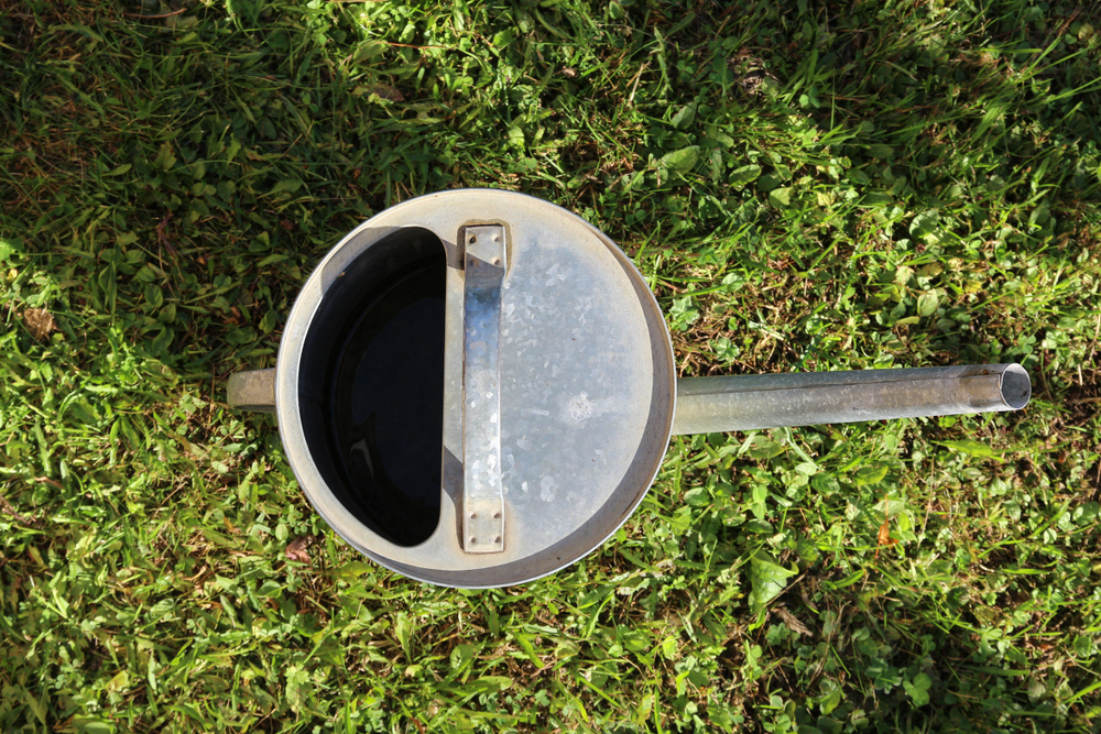 Некоторые огородники пытаются выгнать медведку с участка с помощью мыльной воды