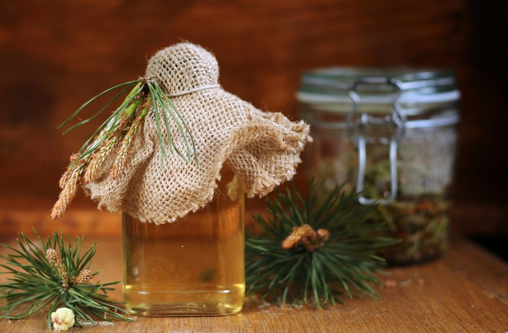 Из сосновой хвои можно приготовить настойку для волос