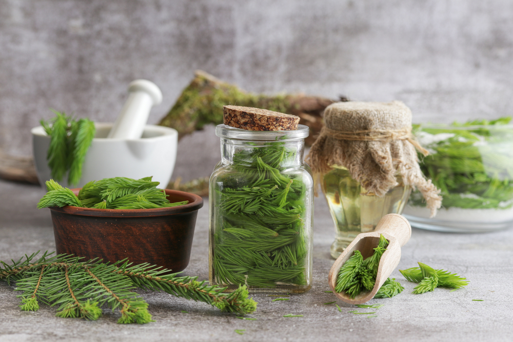 Средства для ухода на основе хвои полезны для жирных волос