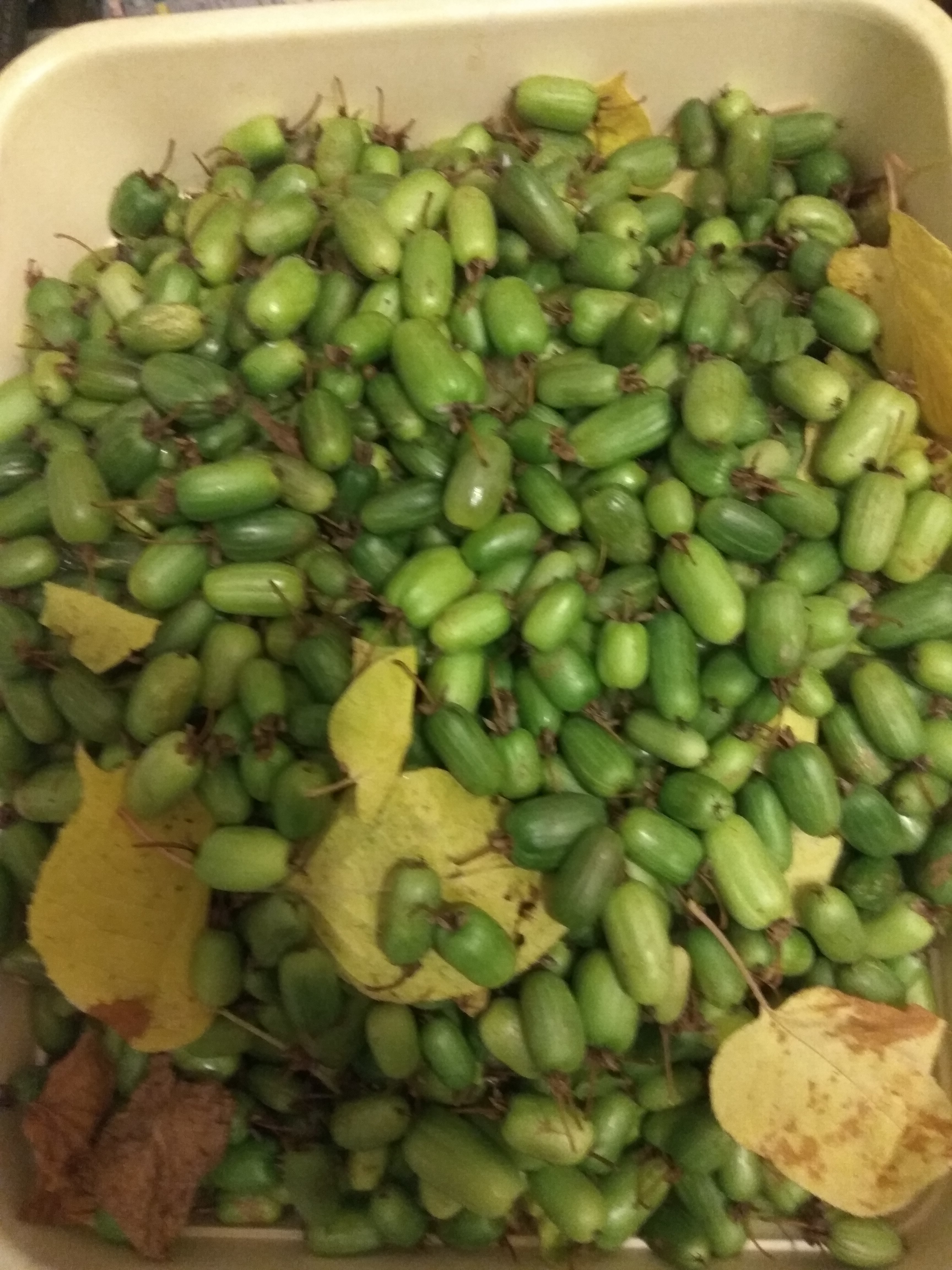 Это последние 4 кг