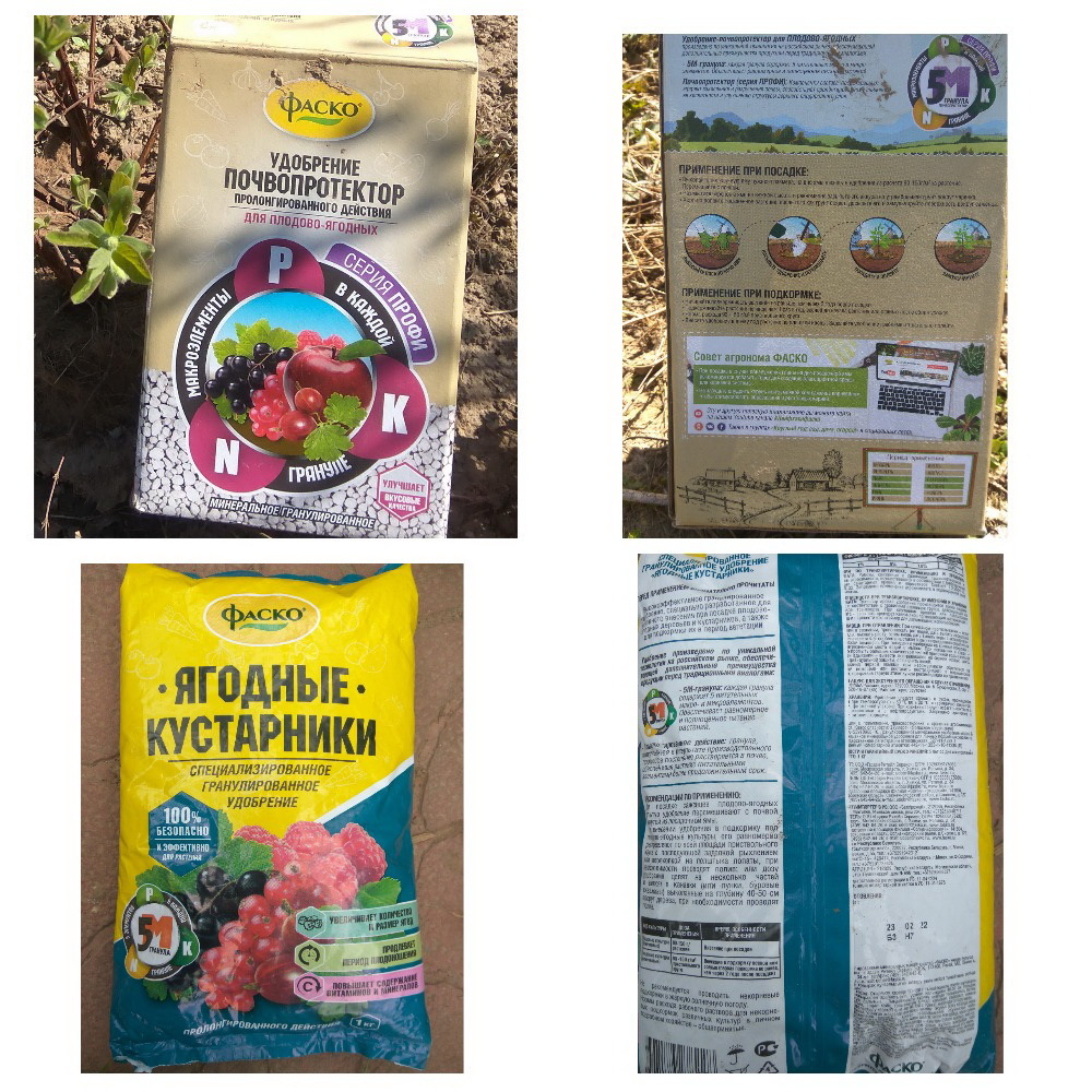 Удобрения для жимолости