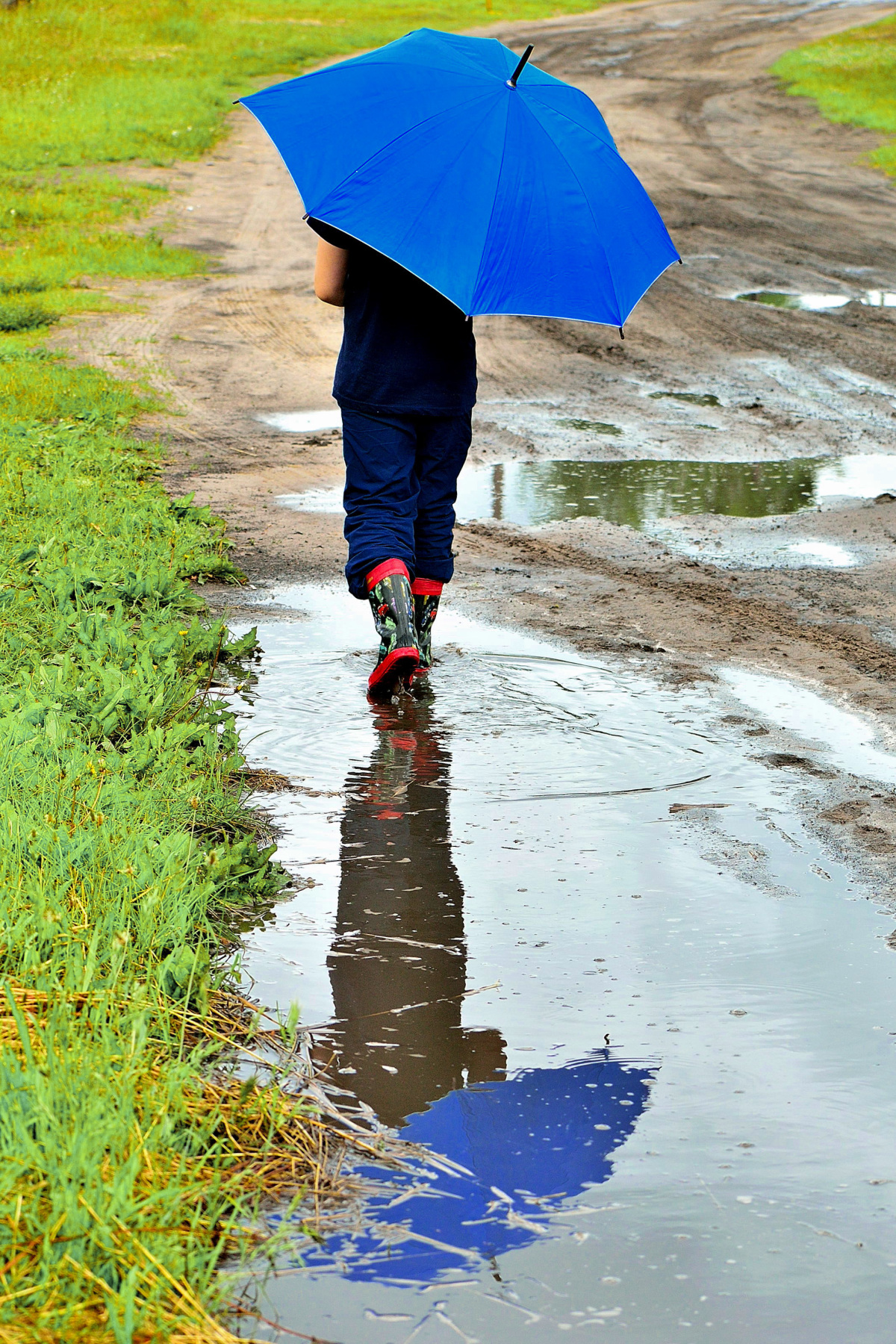 Лужа гулять. Под дождем. Дождливый день. Зонт в луже. Прогулка под дождём.