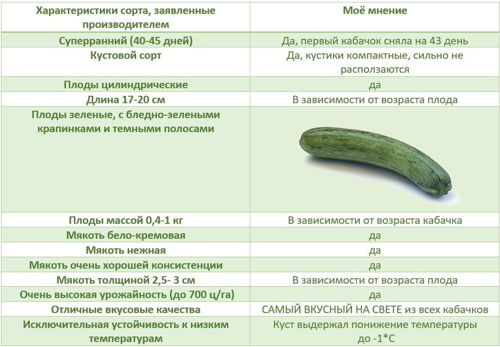 Кабачок с какого возраста
