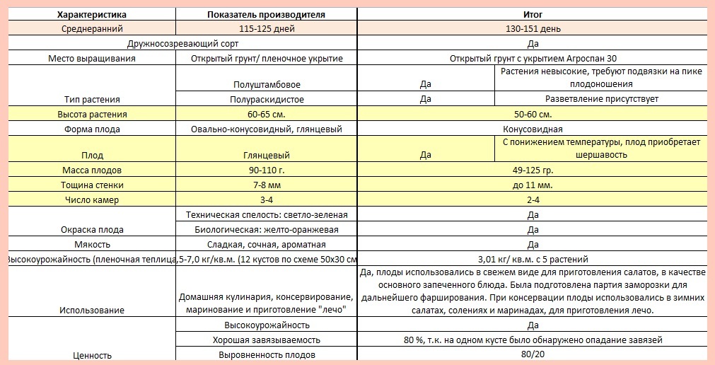 Итоги
