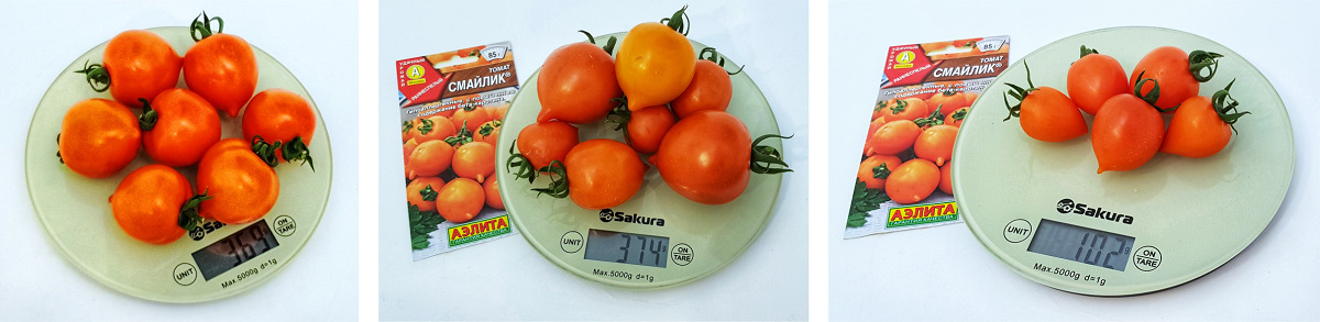 Средний вес томата