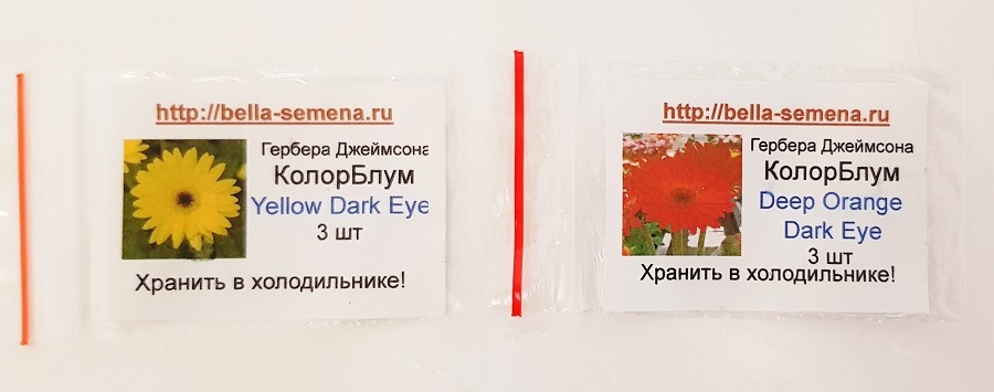 Семена герберы комнатной