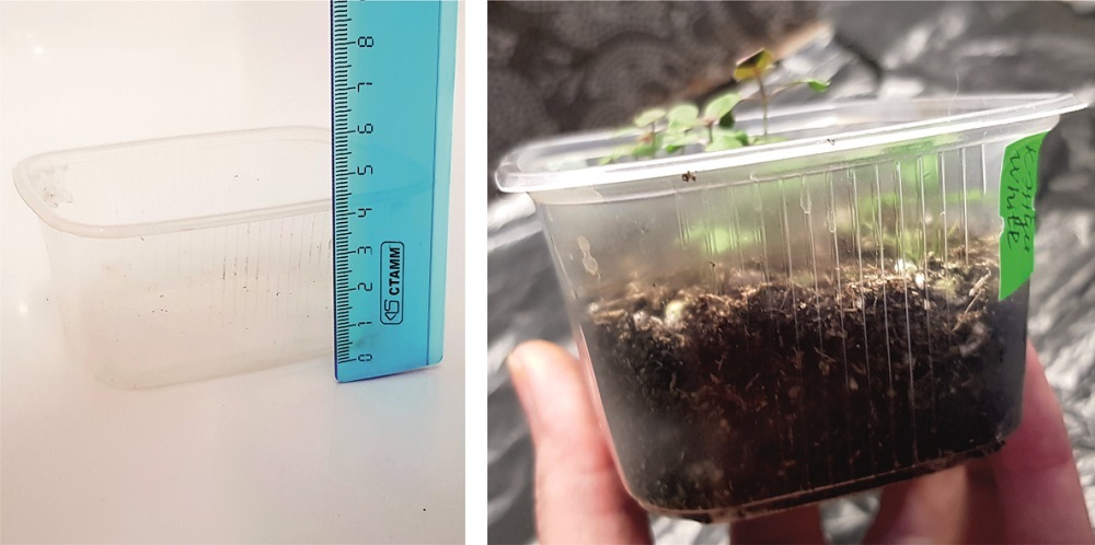 При посеве не нужно использовать много грунта