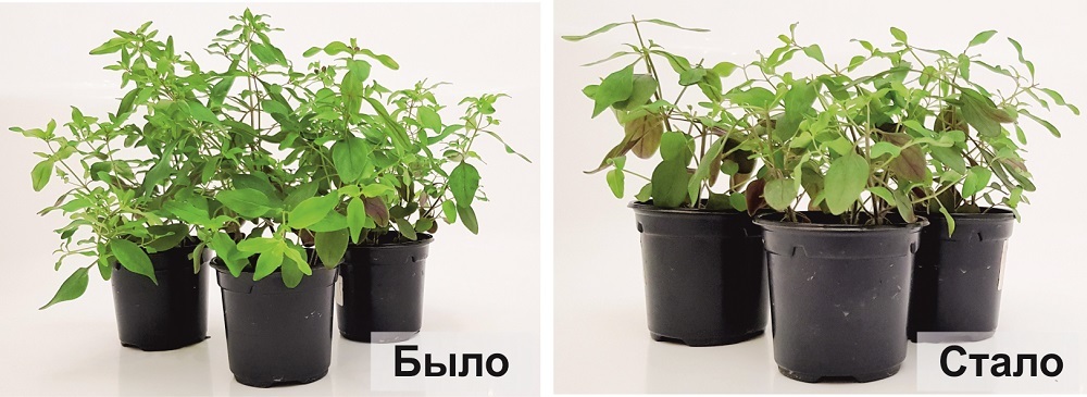 Было - стало