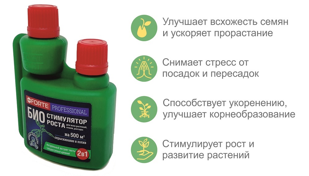Сразу после пикировки полила рассаду через поддон и дополнительно обработала по листу рабочим раствором средства (1 мл на 1 л воды). Через 14 дней процедуру повторила, исключив внекорневую обработку