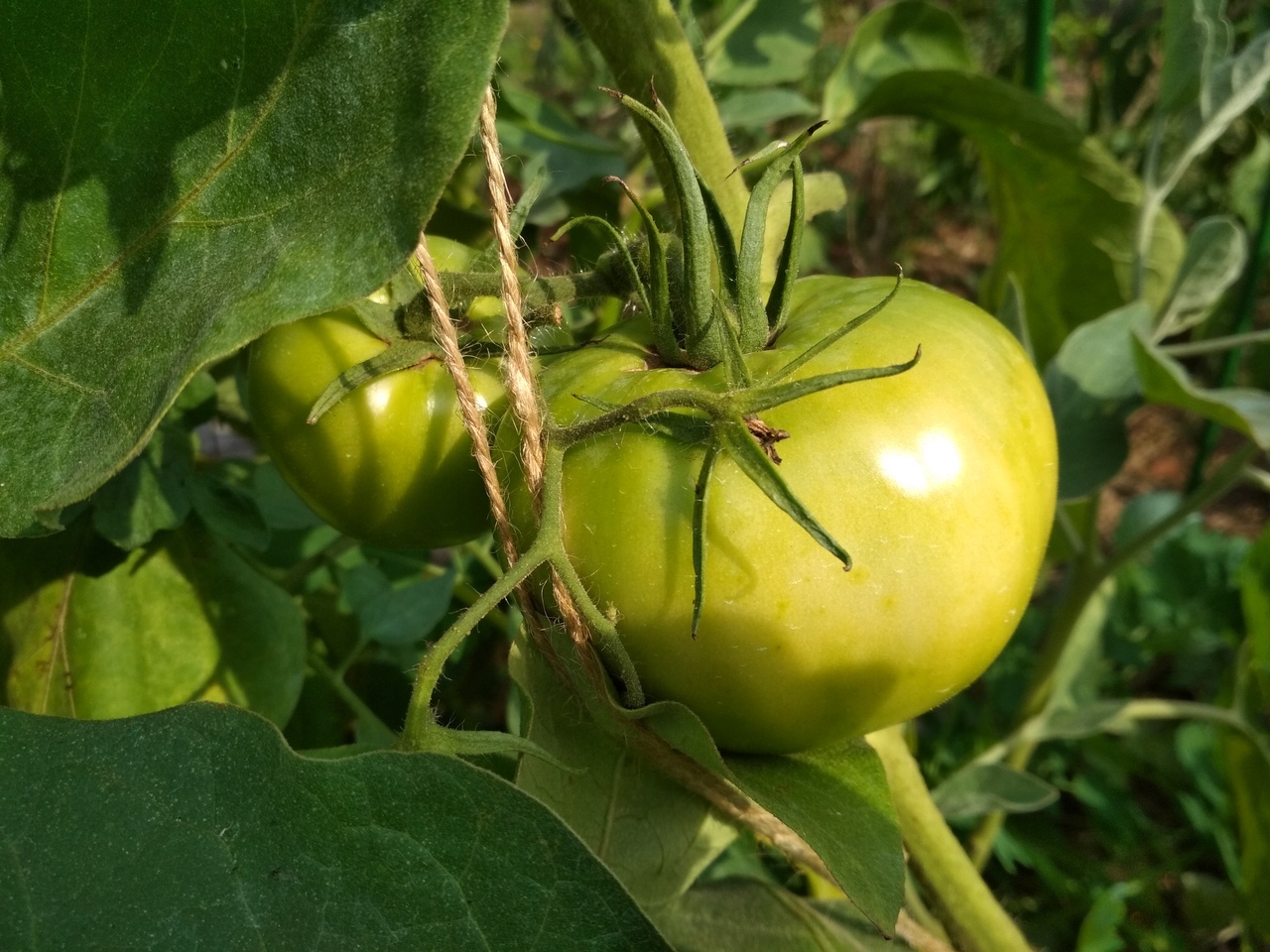 Вторая кисть  