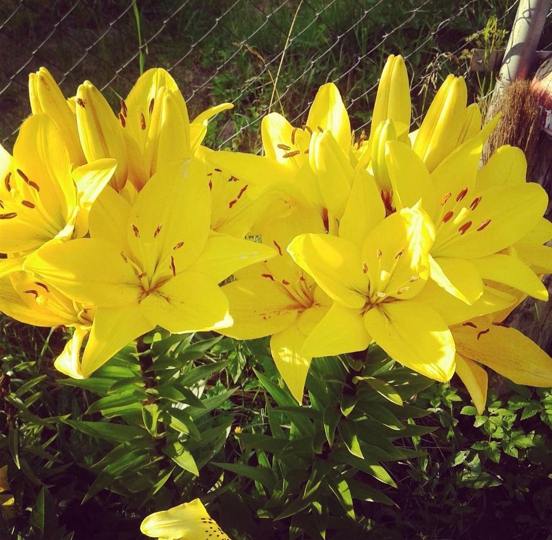 Информация