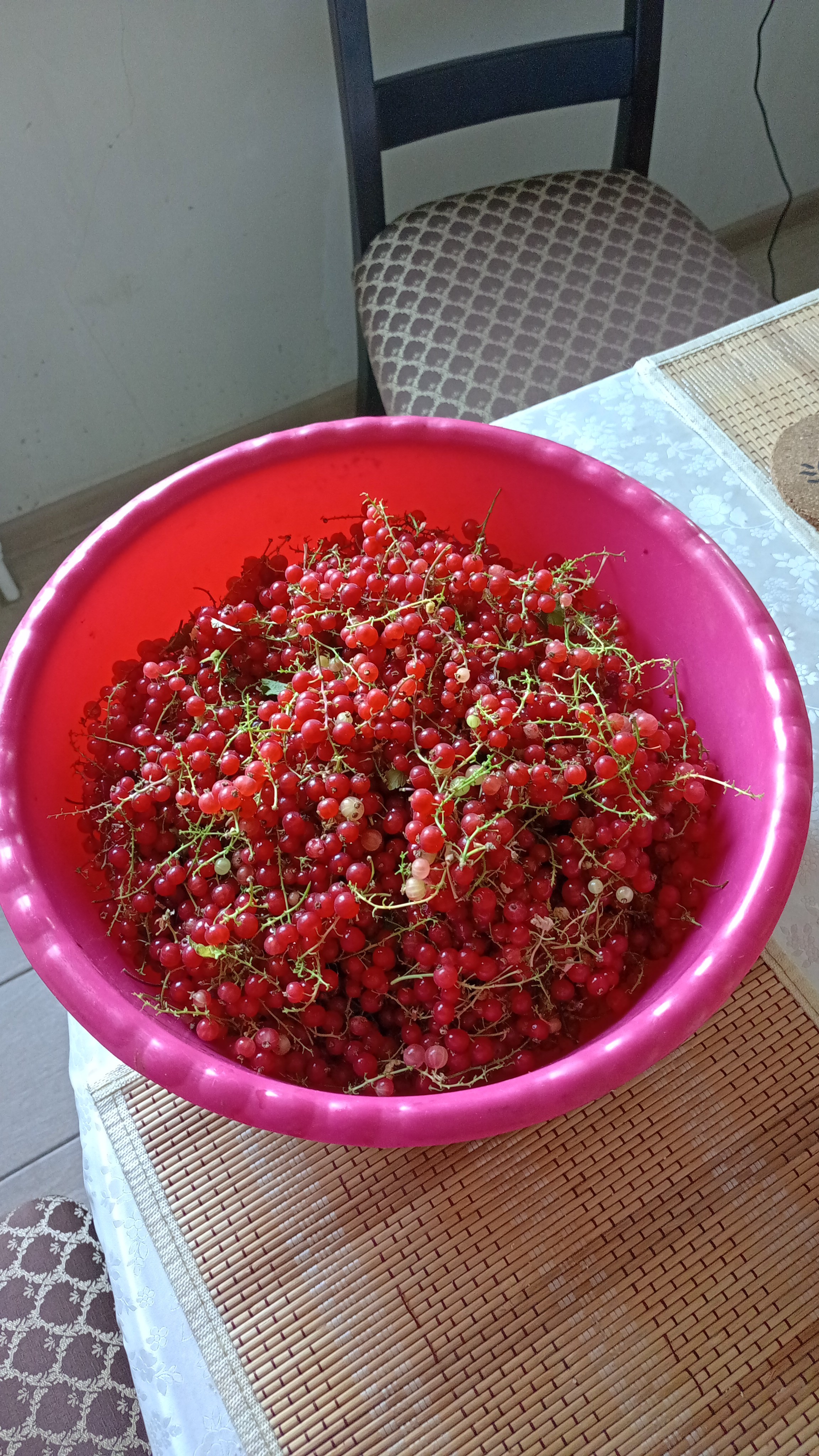 Урожай красной смородины 