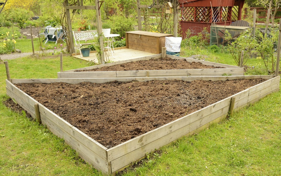 Посадочные места для томатов нужно менять каждый год