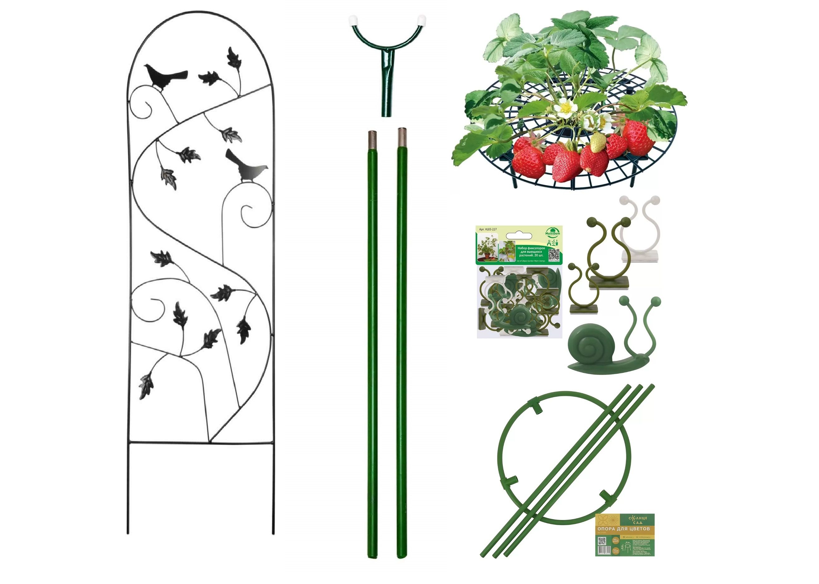 Ажурная шпалера точно понадобится клематису, надежная опора — плодовитым ветвям яблони, сетчатый круг защитит от гнили ягоды земляники, прочный обруч поддержит пышные соцветия флокса, а фиксаторы побегов пригодятся большинству растений