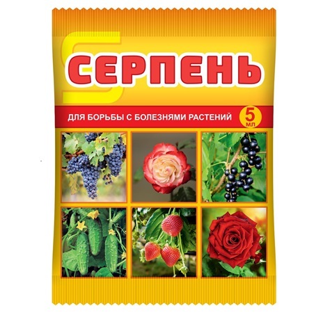 Серпень