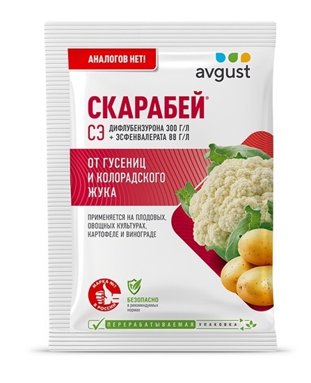 Скарабей Скарабей