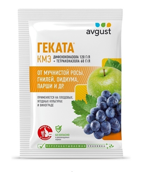 Геката Геката