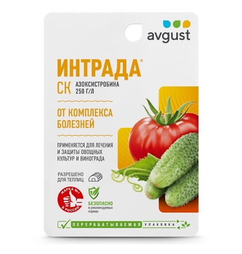 Интрада Интрада