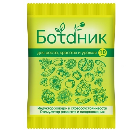 Ботаник Ботаник